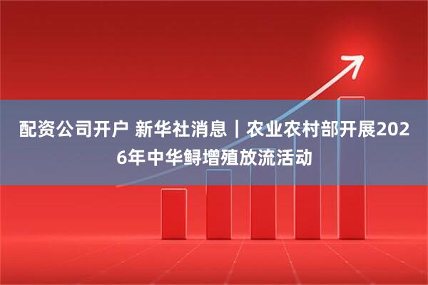 配资公司开户 新华社消息｜农业农村部开展2026年中华鲟增殖放流活动